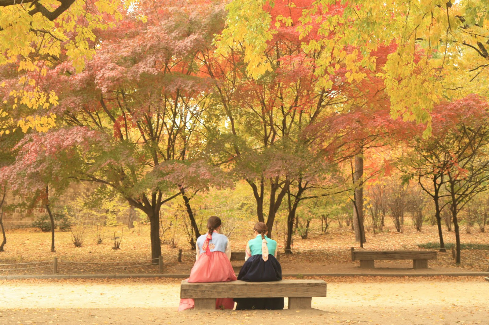 Tempat Wisata Korea Selatan Saat Musim Gugur Yang Harus Kamu