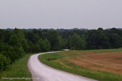 Narrow gravel road in Christian County, KY