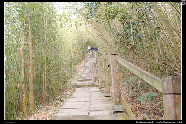 2019-01-01雲林古坑華山-龜仔頭-二尖山唬爛亭-小百岳大尖山