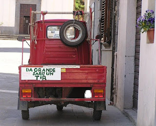 traffico auto pedoni ciclisti camionisti apino