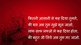 Funny Shayari