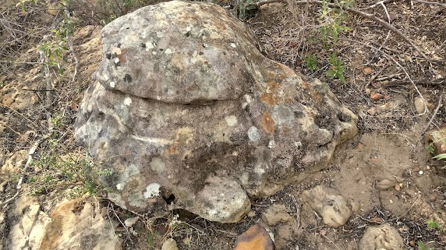 A PEDRA DA TARTARUGA É UMA GEOFORMA ENCONTRADA NO SOLO DA SERRA DO 42 NO SERTÃO DA BAHIA