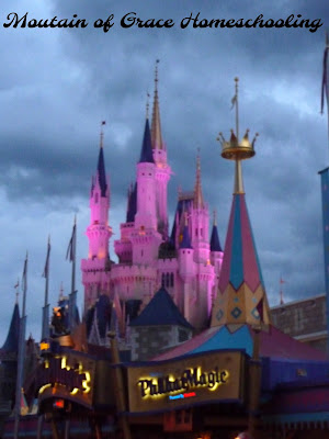 Cinderella's Castle at Dusk