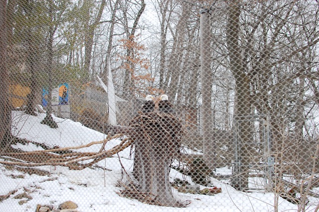 March2013 025