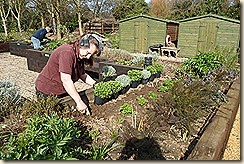 SAM_0139