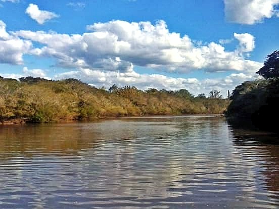 Após mudanças do governo, entidades retiram assinaturas do Plano de Manejo da APA do Banhado Grande, o berçário do Rio Gravataí