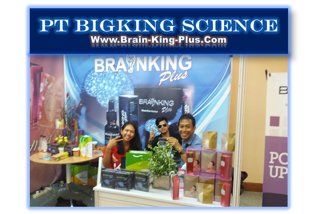 http://www.brain-king-plus.com/