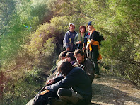 El Pont Foradat o Pont de les Arnaules