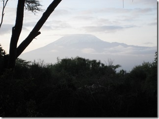 Kilimanjaro