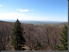 Red Hill View 1