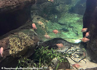 Virginia Aquarium and Marine Science Center