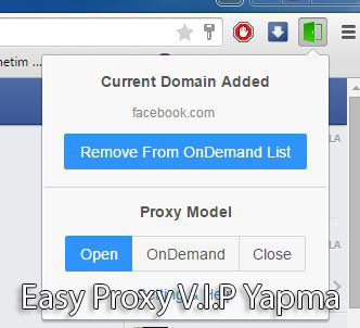 Easy Proxy Vip Yapma