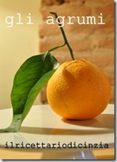 banner arancia cinzia