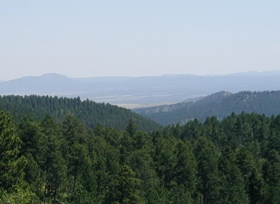 Black Hills National Forest overlook view