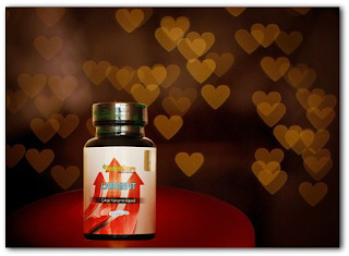  ProlargentSize Herbal Man Enhancer Pills