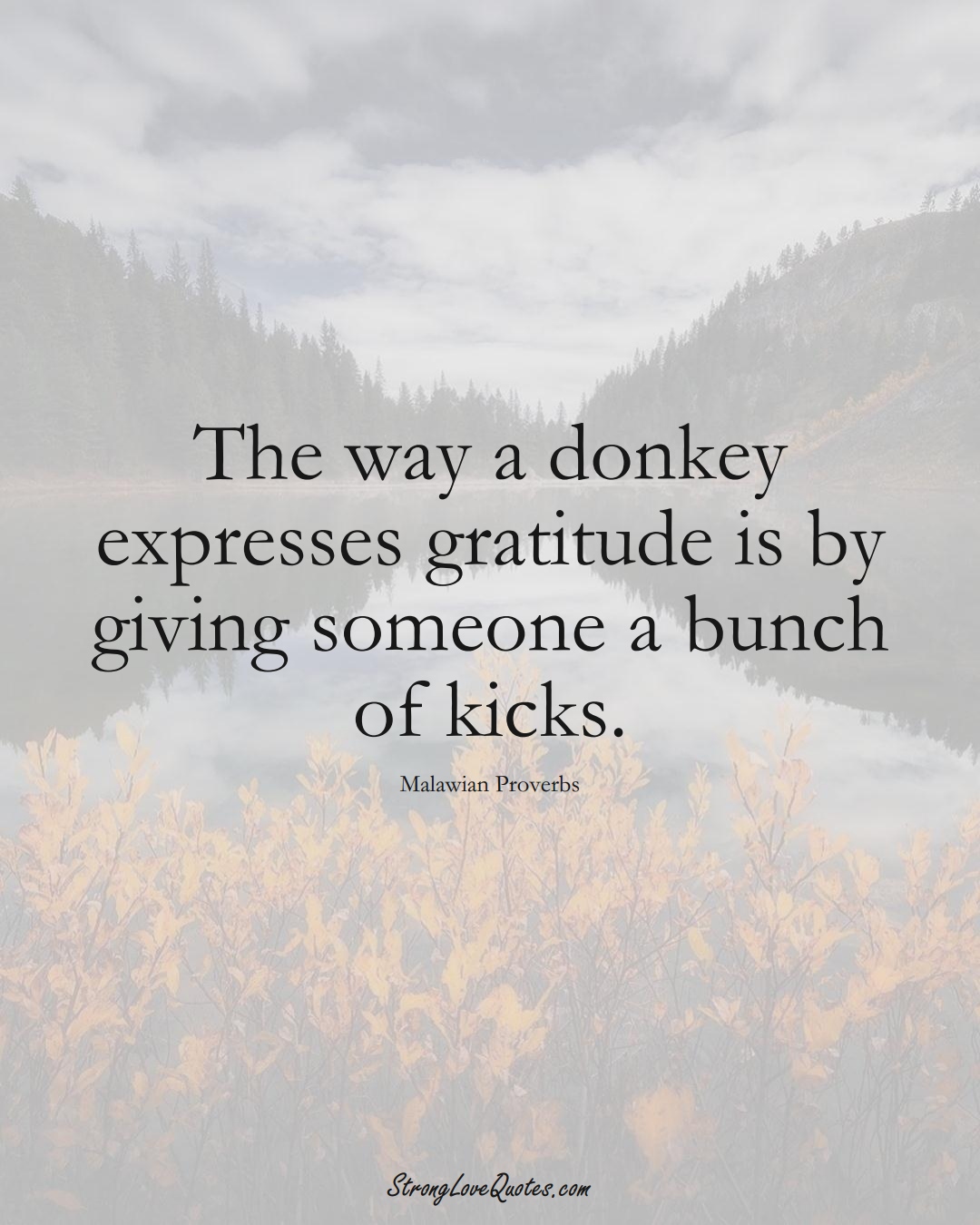 The way a donkey expresses gratitude is by giving someone a bunch of kicks. (Malawian Sayings);  #AfricanSayings