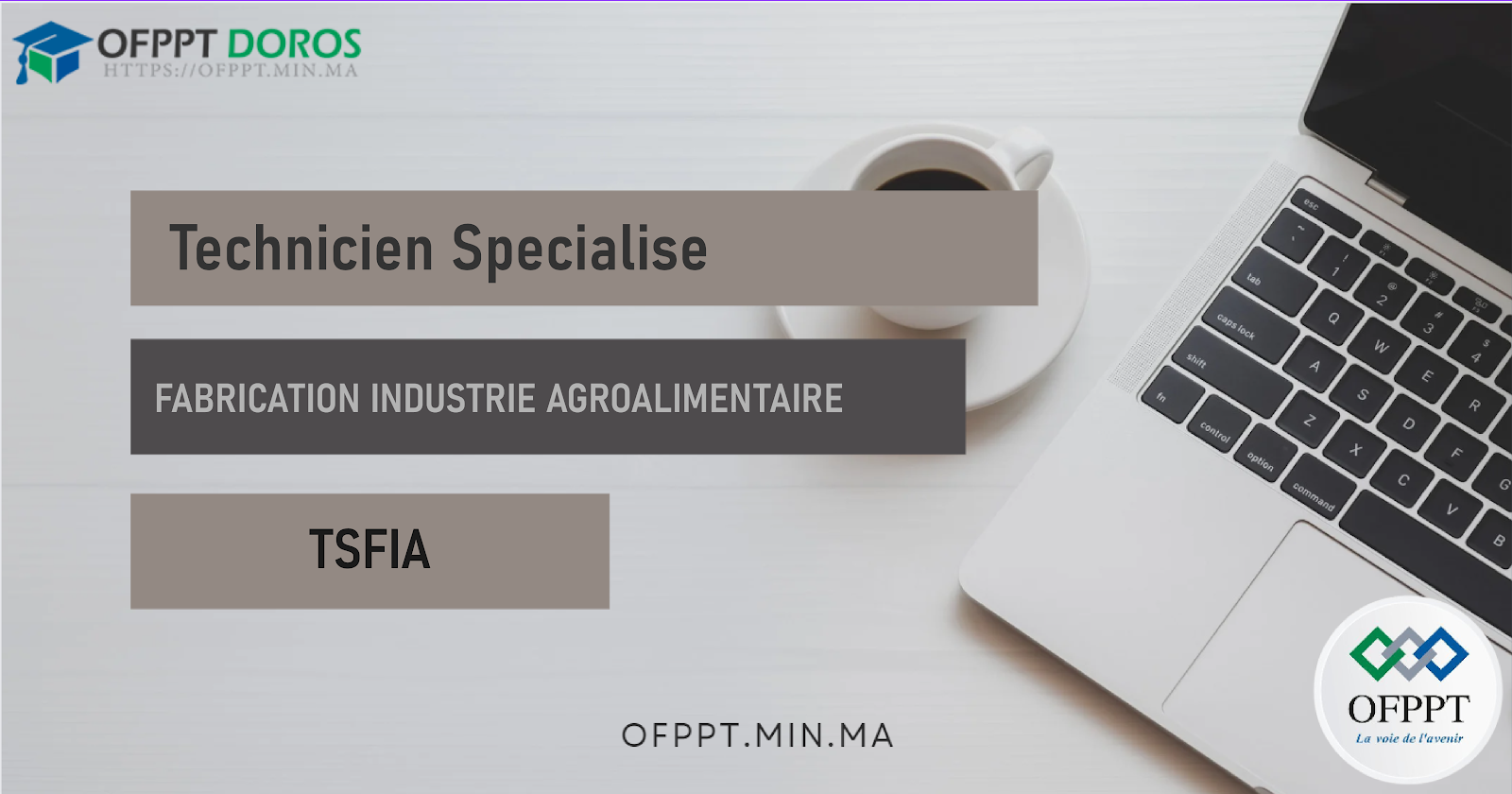 Technicien Spécialisé en Fabrication Industrie Agroalimentaire (TSFIA)