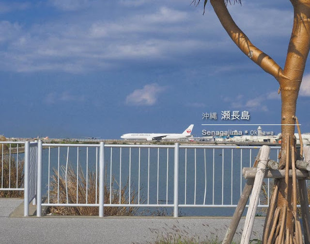 [写真] 那覇･瀬長島で飛行機ウォッチング♪