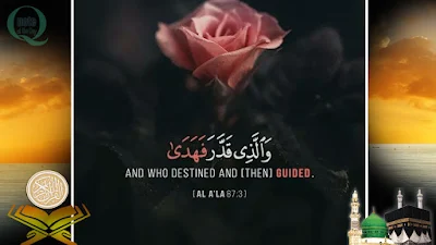 Quran Quotes in English