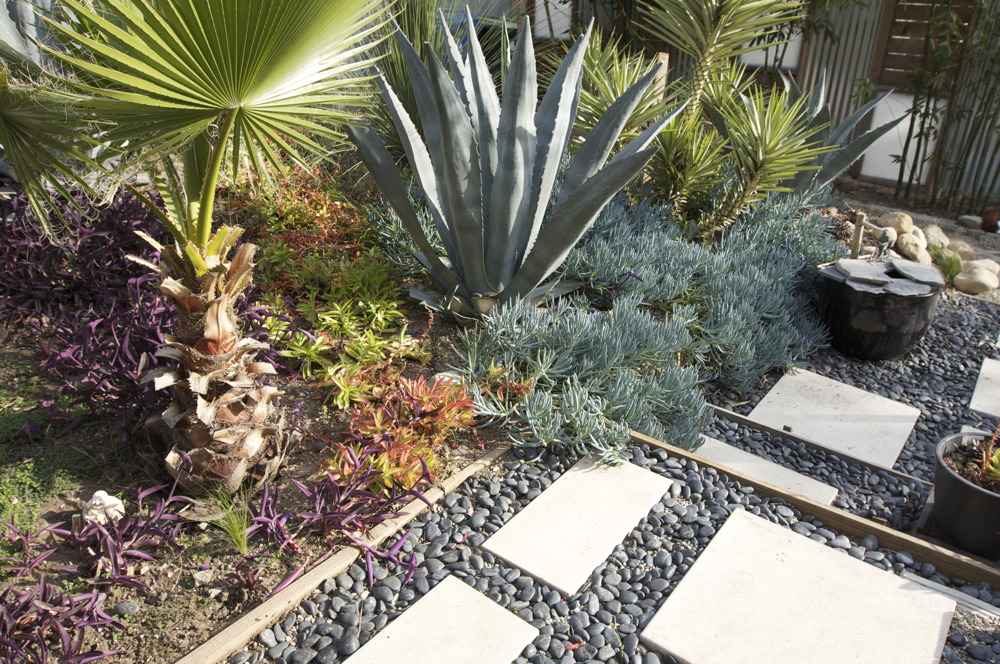 Tips for Minimal Maintenance Garden Design ~ Agit Garden Collections