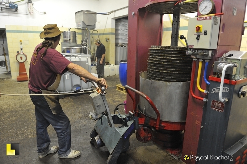 Retrait de la pile de scrutins après pressage de la pâte d'olive photo blachier pascal