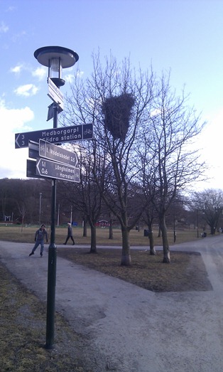 IMAG1064