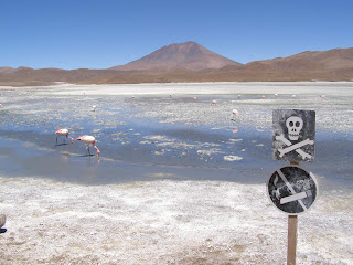 laguna chiarkota