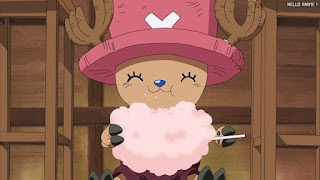 ワンピースアニメ シャボンディ諸島編 392話 チョッパー かわいい Tony Tony Chopper | ONE PIECE Episode 392