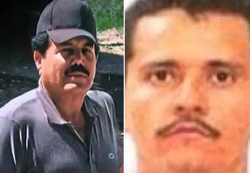 Las garras del Cártel de Sinaloa y el CJNG en Holanda