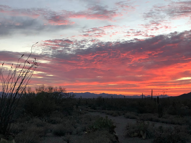 red sky at sunset over the desert
