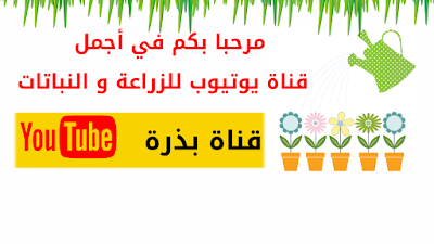 قناة للزراعة و النباتات على يوتيوب تحصد ملايين المشاهدات