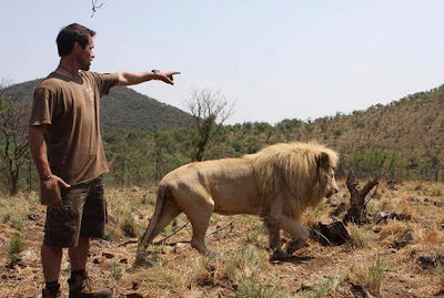 The Man Who Speaks With Lions Seen On www.coolpicturegallery.us