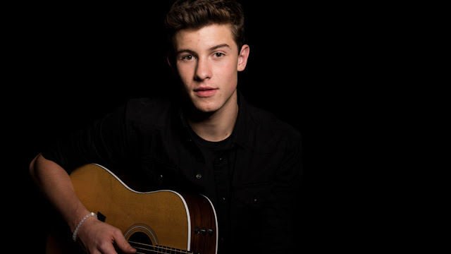 Fakta Unik Shawn Mendes 