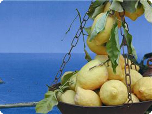 limoni