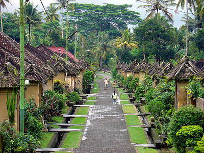 http://www.dibaliweb.com/2017/07/culture-of-bangli-bali.html