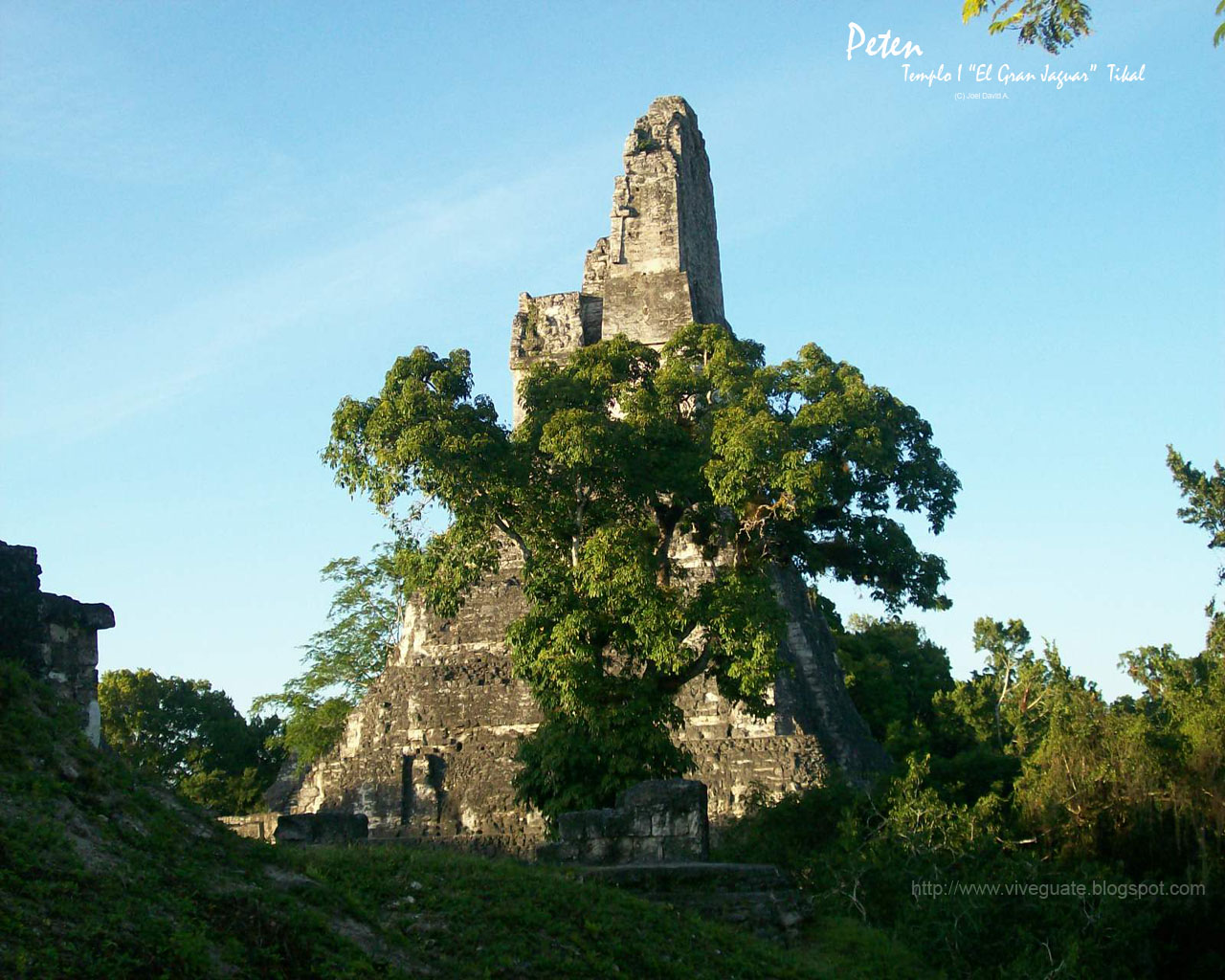 Vive Guate: Wallpaper de la semana