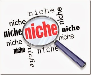 tips memilih niche