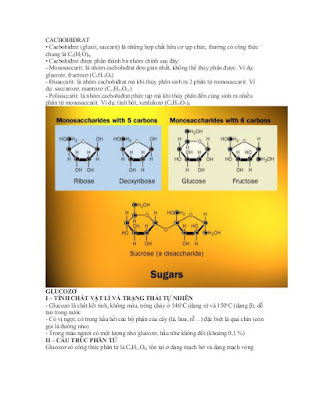 dẫn xuất của monosaccarid