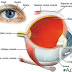 Menjaga Kesehatan Mata