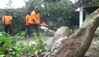 Siklus Tropis Di Jawa Selatan Sedang Tak Stabil,Waspadai 5 Kecamatan Sebagai Jalur Angin