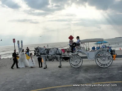 wedding party at beach in Cape May, New Jersey