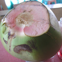 Ciri Kelapa Ijo Obat Batu Empedu