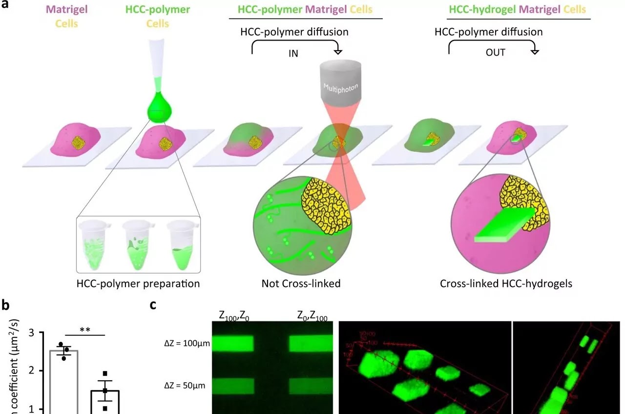 Advancements in 3D Bio-Printing of Organoids using Hydrogels