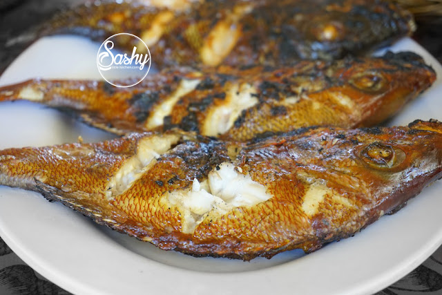 ikan bakar di warung becol