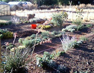 one of Leslie's lovely Rogue Valley gardens