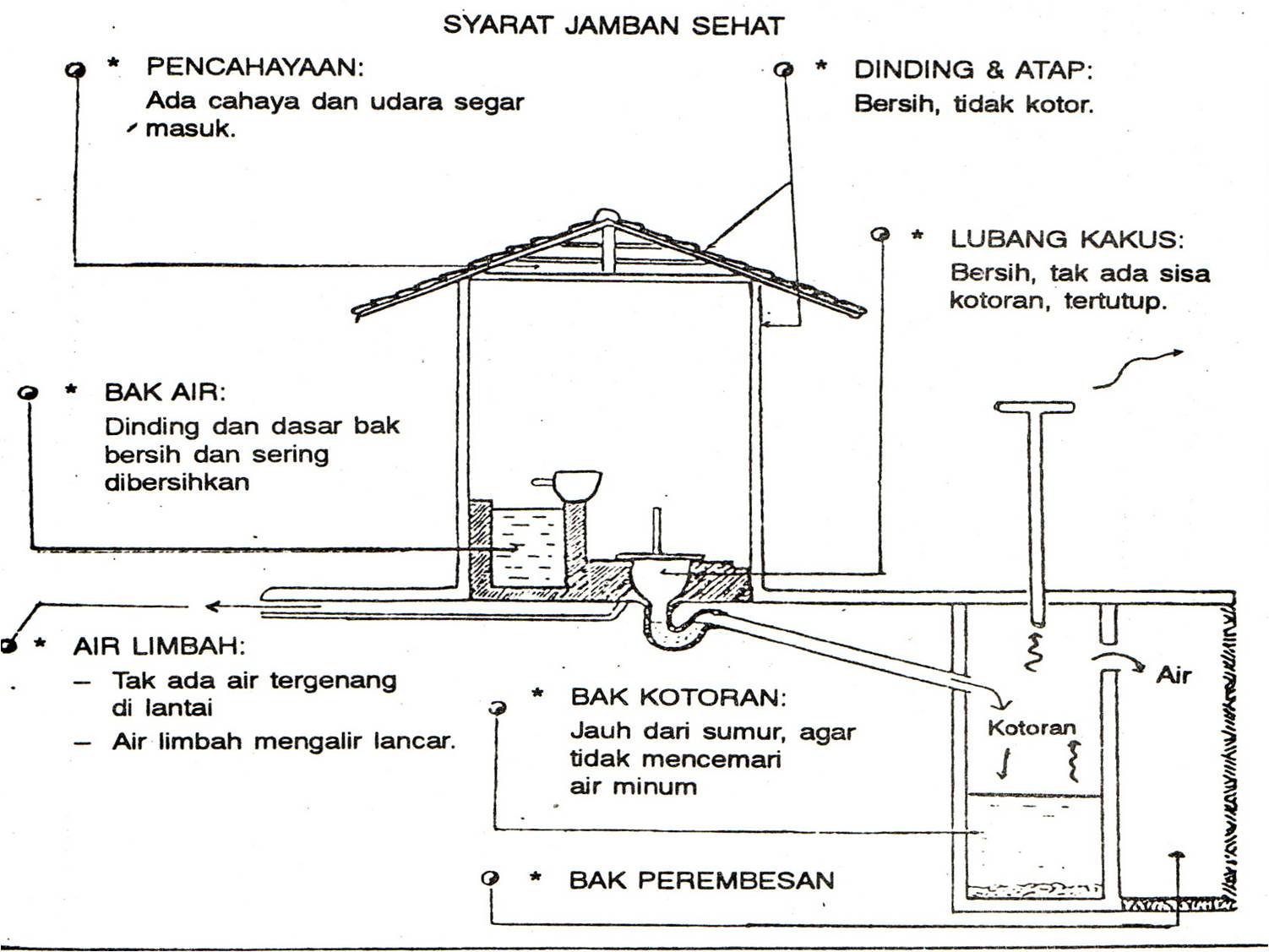 Gambar Rumah Jamur Kartun. gambar mewarnai jamur mewarnai 