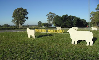 Sindicato Rural de Pinheiro Machado abre as inscrições para o Ovelha Arte