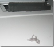 2010-02-11 06