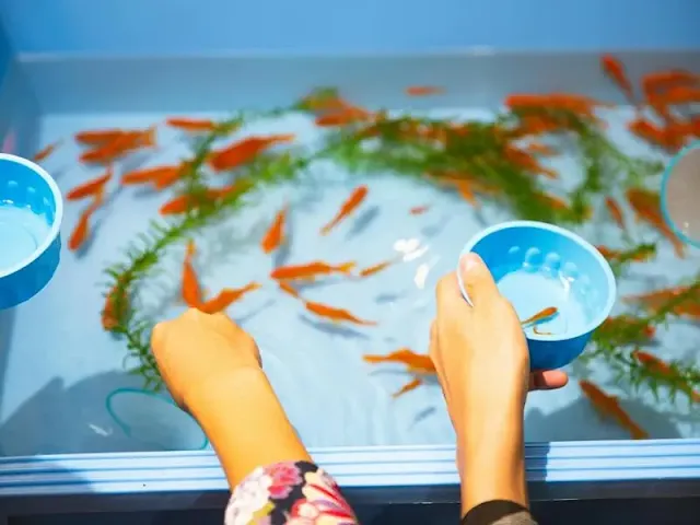 Unlocking the Secrets of a Pristine Aquarium: A Comprehensive Guide to Maintenance