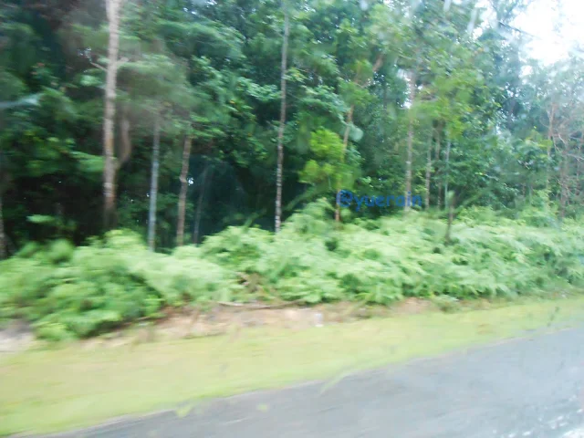  HAUNTED ROAD IN MALAYSIA